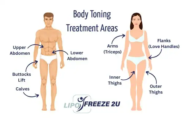 Graphic showing where you can have Body toning Treatment Nottinghamshire on your body
